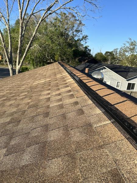 Coastal Wildlife & Pest Services