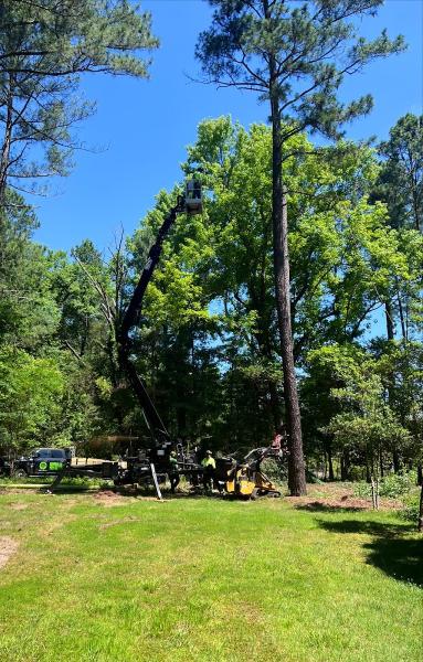Centrella Tree Service Inc.