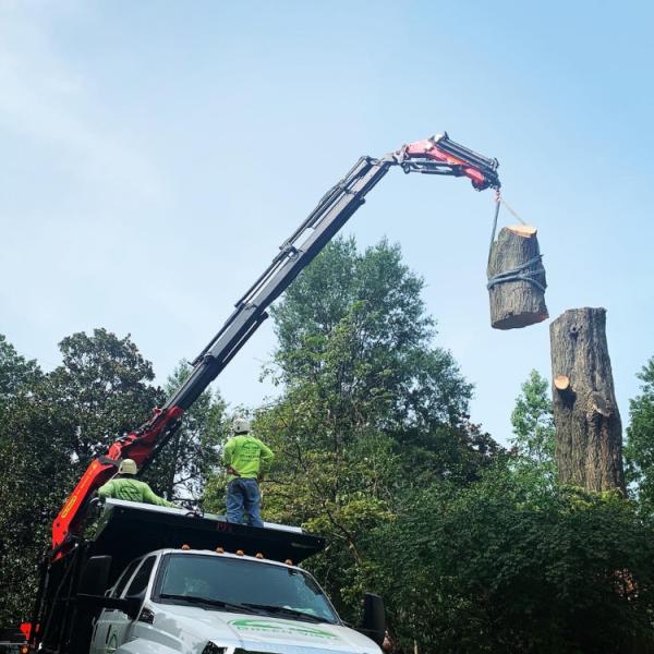 Green Vista Tree Care