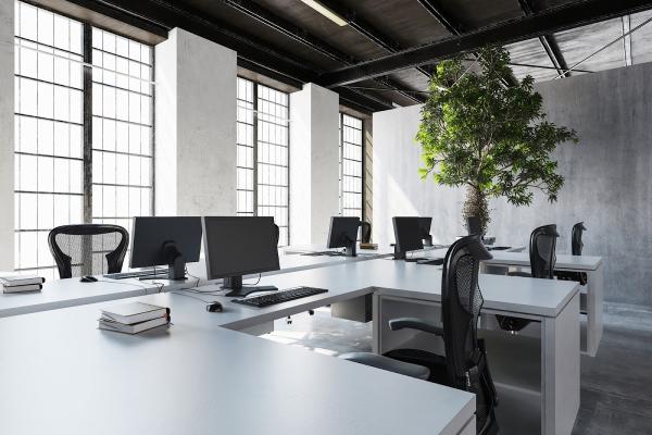 Coka's Home & Office Cleaning