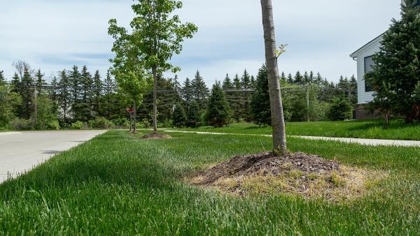 GLC Property Maintenance Services