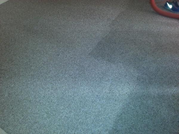 Xtreme Clean