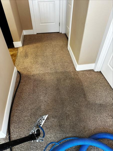 All American Carpet and Upholstery Cleaning