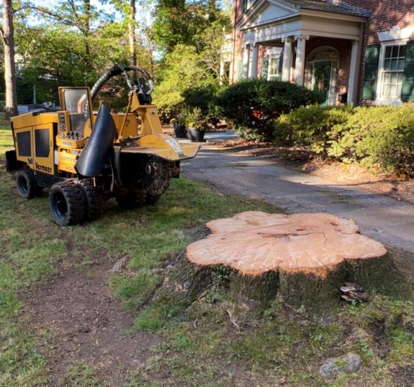 Scotts Stump Grinding LLC
