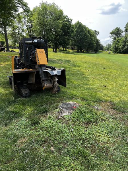 Scotts Stump Grinding LLC