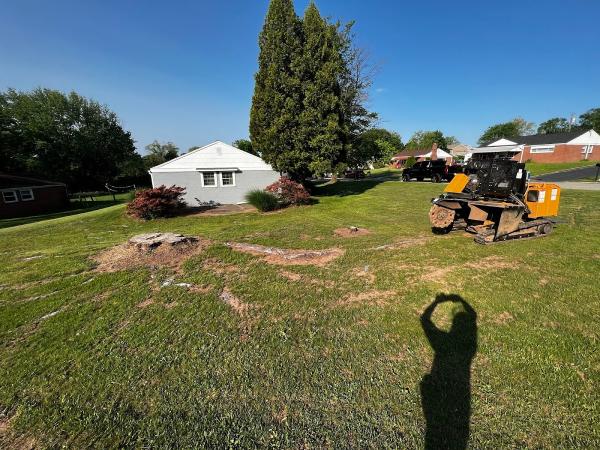 Scotts Stump Grinding LLC