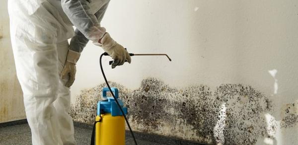 LA Mold Testing Inc.