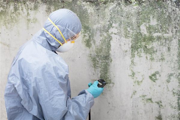 LA Mold Testing Inc.