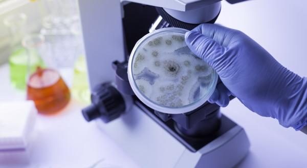 LA Mold Testing Inc.