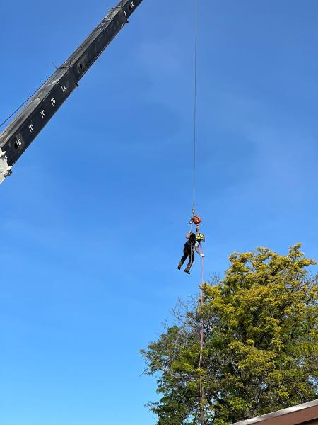 TLC Tree Expert Inc