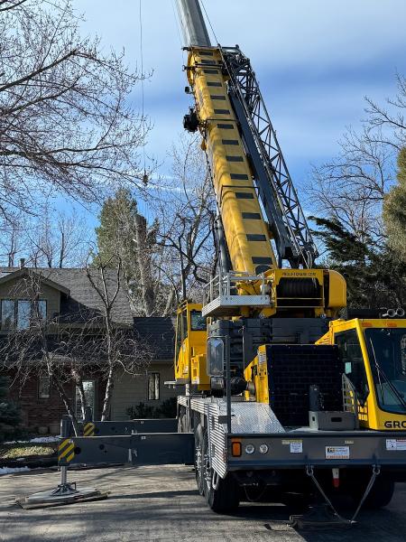 TLC Tree Expert Inc