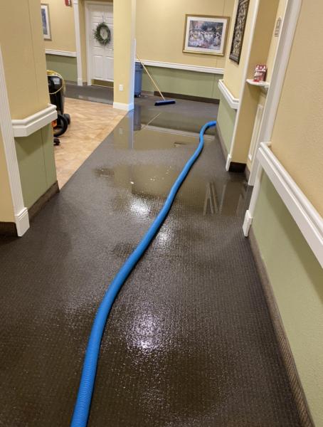Complete Carpet Care