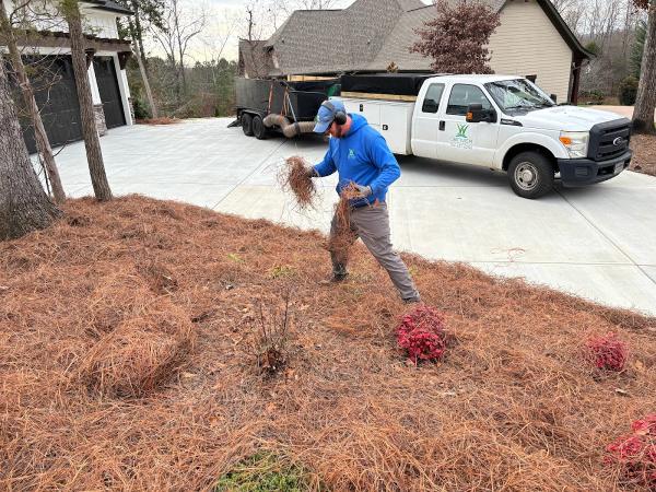 Denver Lawn Maintenance