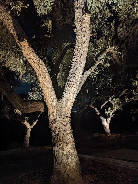 Laird Irrigation and Lighting