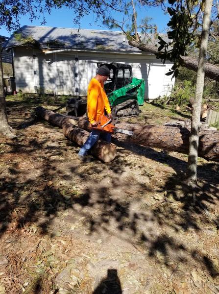 Tree Works LLC