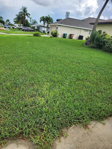 Perfection Lawn & Pest Control Inc