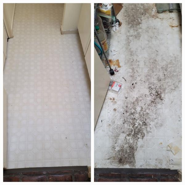W.a.y.s. Cleaning