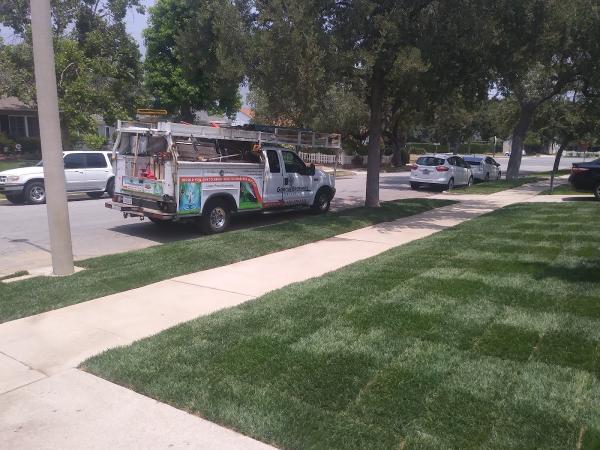 Garcia Brothers Gardening Tree Service