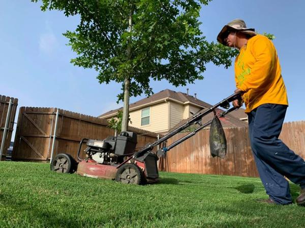 Integra Pest & Lawn