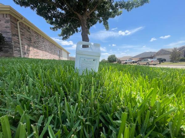 Integra Pest & Lawn