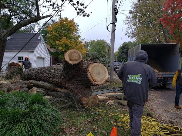 Voss Landscape & Tree Service