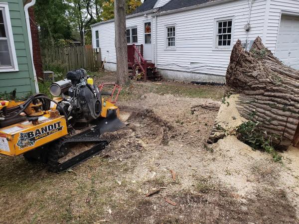 Voss Landscape & Tree Service