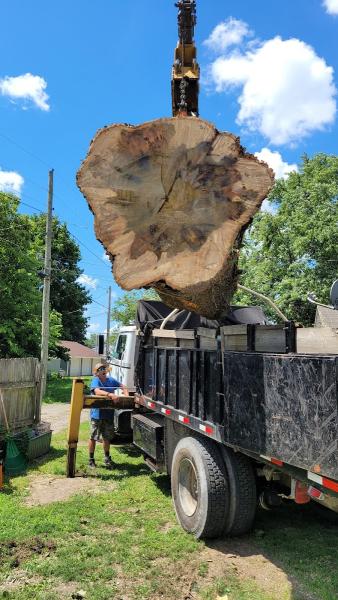 Arms Affordable Tree Service