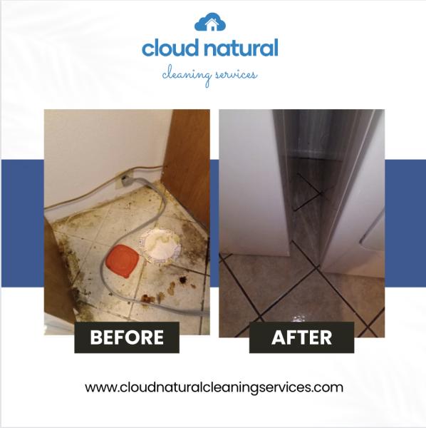 Cloud Natural Cleaning Services