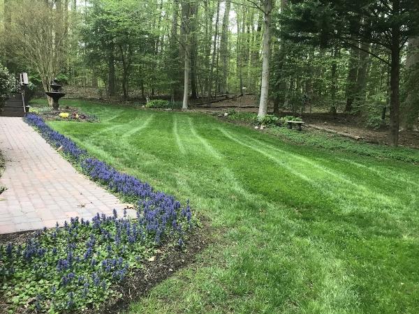 Crownsville Landscaping