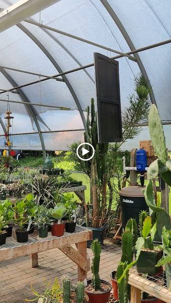 Carol Watson Greenhouse and Landscaping