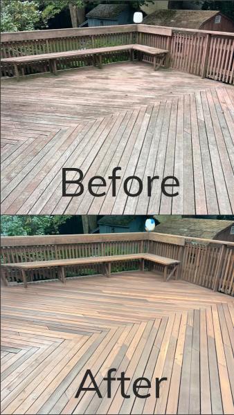 Beaver Wood Floors