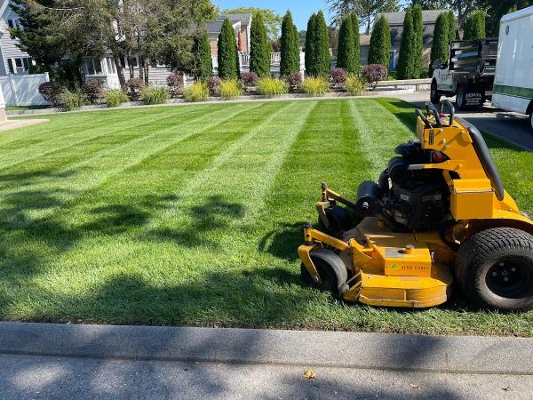 Summergreen Maintenance