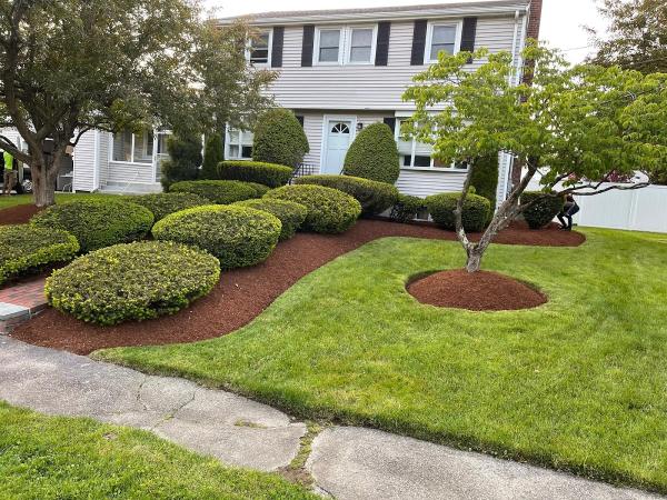 Summergreen Maintenance