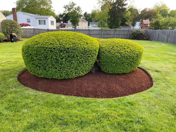 Summergreen Maintenance