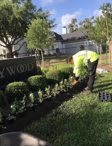 IMS Landscape Services Inc