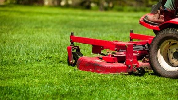 Easy Does It Lawn Care & More