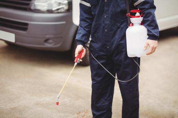 EZ Bed Bug Exterminator