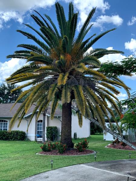 Picture Perfect Lawncare and Maintenance