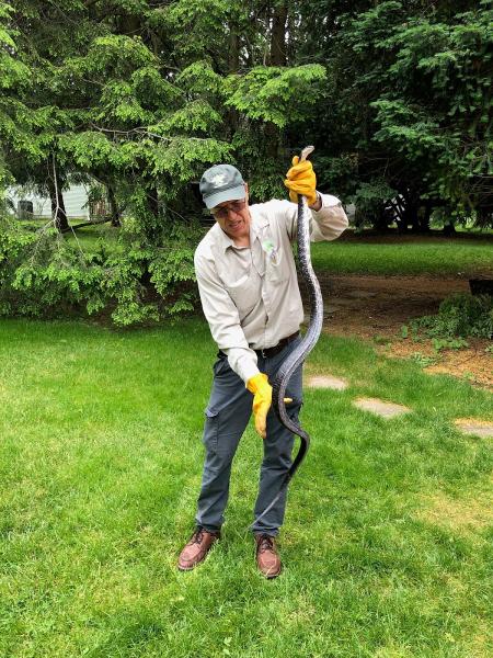 All Star Pest Management Inc
