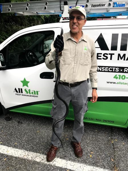 All Star Pest Management Inc