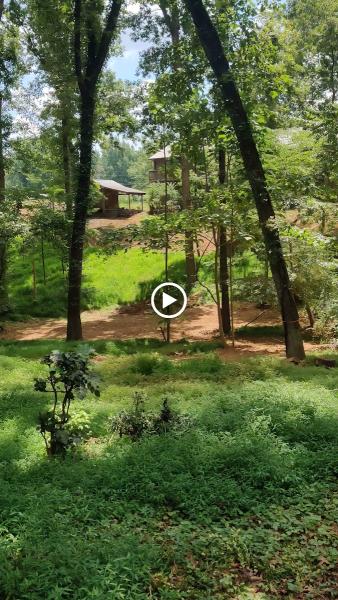 Arborwise LLC