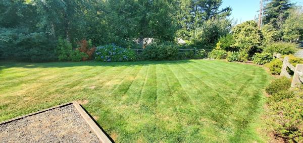 Cain's Lawn & Gardening