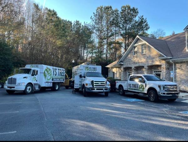 YS Tree Service LLC