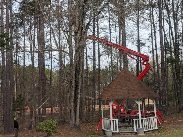 Seasoned Tree Care