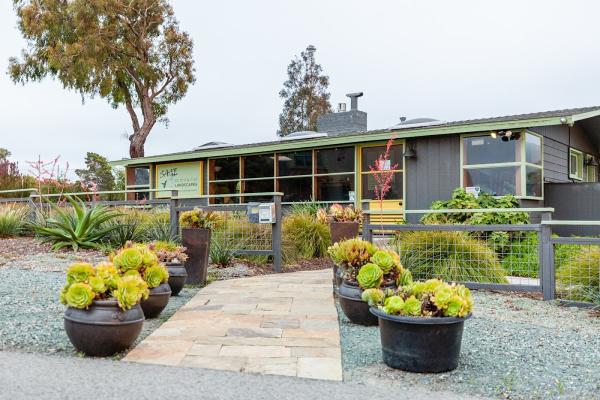 Sage Ecological Landscapes