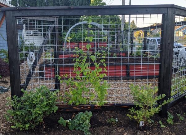 Bellingham Foodscapes