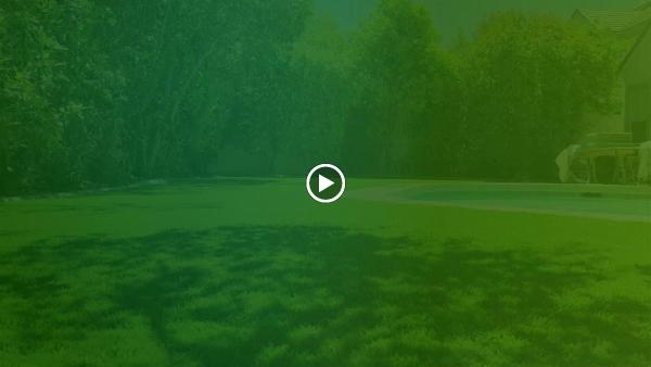 Synthetic Lawns