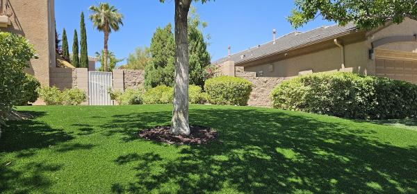 Synthetic Lawns