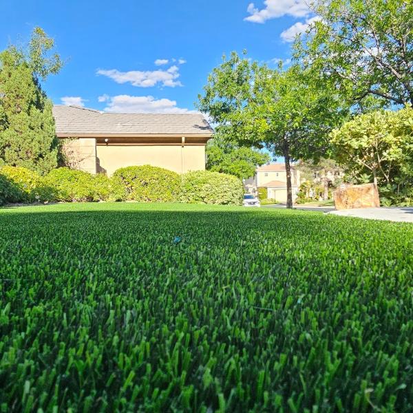 Synthetic Lawns