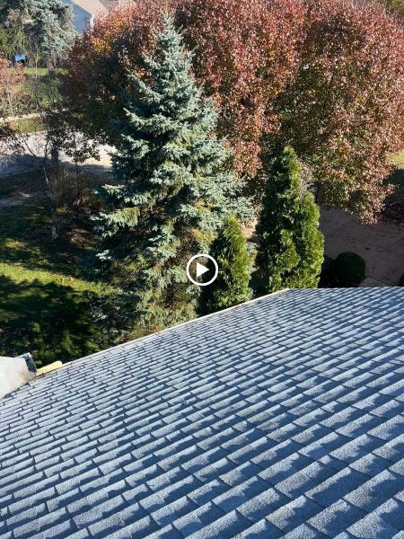 Williams Window Cleaning & Gutters